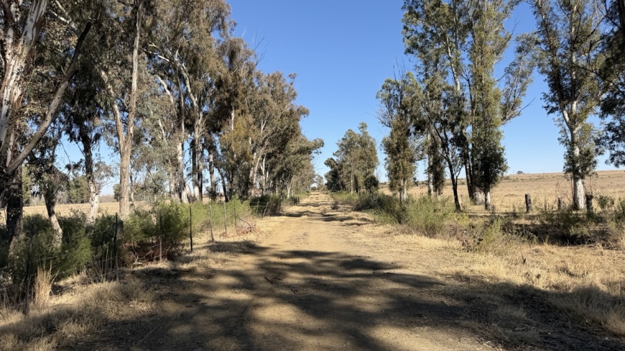 Commercial Property for Sale in Senekal Free State